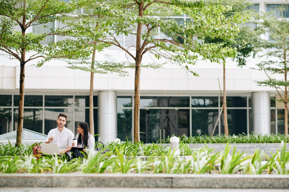 Startup Campus
